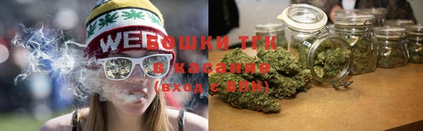 молекула духа Вязьма