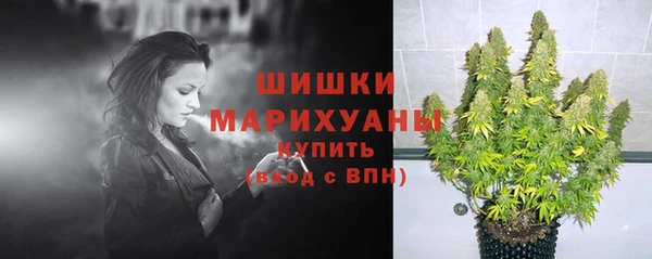 соль ск Вяземский