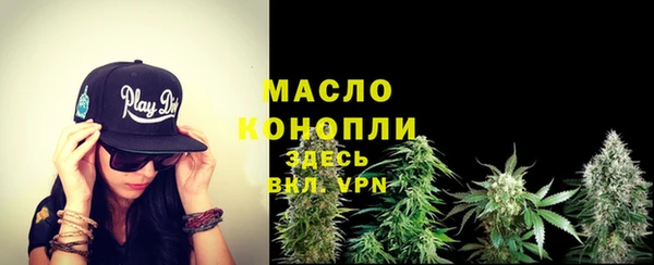 соль ск Вяземский