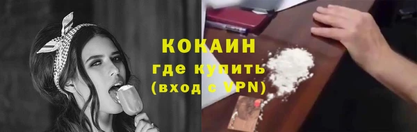 молекула духа Вязьма