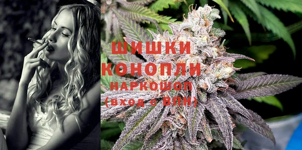 молекула духа Вязьма