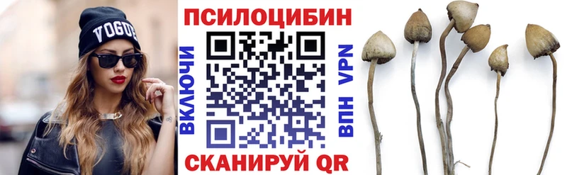 где можно купить наркотик  Новомосковск  Галлюциногенные грибы мухоморы 